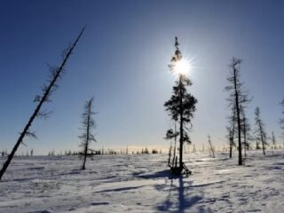 Jagalah Bumi, Tundra Siberia Terancam Hilang